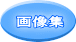 画像集